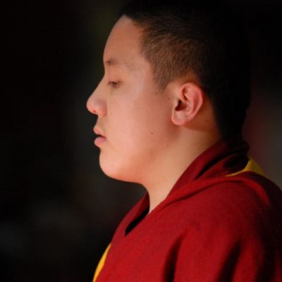 Dilgo Khyentse Yangzi Rinpoche 